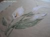 DSC05516.JPG.ec96ebe9291b147f95a964d6130959f0.thumb.JPG.a2fb199551c5f36fbaabd88603f2dc90.JPG