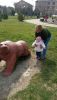 IMG-20210401-WA0005.thumb.jpg.60e5ce176744cb79fc4978cd3bec0cb7.jpg