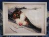 IMG_20210213_104352.thumb.jpg.bb127e9c763c71d4d5a27b4c2d2c52c3.jpg