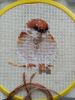 IMG_20210314_150220.thumb.jpg.da76703bf6cddb9f90e66bb156357a05.jpg