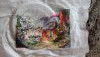 IMG_20210321_110842.thumb.jpg.882cdf5eec311fcae972ab2ee5a735fe.jpg?1617554484013
