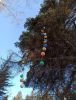 IMG_20210327_170543.thumb.jpg.886a88dabc96b5f9e47f6d99c3aa662a.jpg