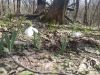 IMG_20210403_105726.thumb.jpg.7779edb4621a44c6a9551760ac17fe41.jpg