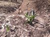 IMG_20210403_110835.thumb.jpg.193d56e3239193d81174d58f5093ed8d.jpg