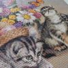 IMG_20210403_154418.thumb.jpg.01bebda9d41ec303de7f4a8cb120092e.jpg