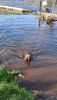 IMG_20210403_170039.thumb.jpg.054547294368adf17a4814d755b28bda.jpg