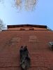 IMG_20210405_172816.thumb.jpg.2aab06ae2d52d568c1a41b164d653682.jpg