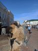 IMG_20210407_145855.thumb.jpg.071a5a96bbb58c025d31b85c4b339236.jpg