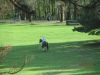 IMG_20210408_180503.thumb.jpg.62d0f4add702eb3c3d8d2f42c5330ae0.jpg