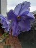IMG_20210412_152624.thumb.jpg.bc7e3bbb503346c43250d709092666f8.jpg