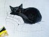 IMG_20210414_130240.thumb.jpg.d0a19d977279f89f39146f087aeebeb9.jpg