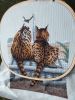 IMG_20210416_105801.thumb.jpg.5fc3e4f8e515a1a9003ef7576caea8af.jpg