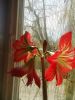IMG_20210416_111109_1.thumb.jpg.6cf7d88e1f0129ab42b1b25f94ee3950.jpg
