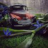 IMG_20210417_102747_706.thumb.jpg.7cbc9be89103dc570322296e62d7f086.jpg