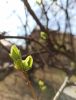 IMG_20210417_134627.thumb.jpg.c6c15013749c90ef497995b8ca153843.jpg