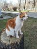 IMG_20210417_142127.thumb.jpg.88f112144ea3c3992bfa3ff5fd696c04.jpg