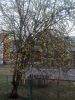 IMG_20210417_191821.thumb.jpg.88e02cd7df072d72d49f07d7de30568c.jpg
