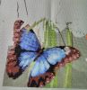 IMG_20210421_103332.thumb.jpg.bee117c7cb1edddeddfd815502e99e1f.jpg