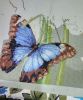IMG_20210421_213807.thumb.jpg.5d7ec2ba224da75f33cfb091e7572000.jpg