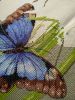 IMG_20210422_080435.jpg.c8befc6e5e34c57bb39bb7ec5913dd82.jpg