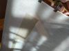 IMG_20210427_073908.thumb.jpg.719e15dcbce8cb2274b04b4ffce96c2d.jpg