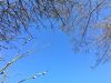 IMG_8663.thumb.JPG.83ccb6290443d69c079a74933e45c6d8.JPG