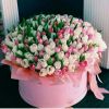 im-upload-image-1524891375641.thumb.jpg.bf737a799a28490abd65eb6058b1eecc.jpg