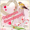 image.thumb.png.509bd4432ac3ab63a602645b61a0338c.png