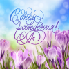 image.thumb.png.f46fda9ffbdb01f9fb1b1f417cfea431.png