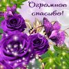 krasivaya-otkritka-s-nadpisyu-spasibo-za-pozdravlenie_orig.thumb.jpg.51e3906a57117fbc2c60890c1f491672.jpg