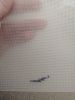 1.thumb.jpg.3fb0b9db455dd541bc48a897614dd892.jpg