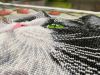 1265253191_4.thumb.jpg.3e6b2b9b42d05231eded3401b97d2ed6.jpg