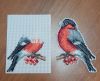 1508941230_439.jpg.d5851b4fbfb4707a59e1c986efa3234e.thumb.jpg.51d7e53e3fd698ece8136f1f72a26d36.jpg