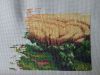 1620663863092_.jpg.0818589d43b3af69dcc3c0dab0f82661.thumb.jpg.5c9917e2b8484b25baef86ba091ea631.jpg
