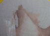 1740327367_2021-05-0701-40-00.thumb.JPG.171c448ddc720c151c9ddf1885ed46a7.JPG