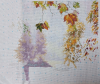 187677957_.png.86a55fad8ab18f087d78786dedde9028.thumb.png.e2270d5602e46da8a6a3a56a008929f2.png