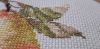 20210128_130201.thumb.jpg.ac99991cf3a9c77ba50081aacb068376.jpg