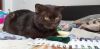 20210224_122115.thumb.jpg.8108fcce68432018756cc78b950c07c8.jpg