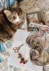 20210327_092816.thumb.jpg.14fd3f17b84bea545acdc6850c23f30c.jpg?1621701844979