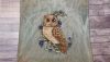 20210402_210303.thumb.jpg.1aec39198fb8a95c60afe2607d6731c6.jpg