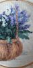 20210412_122017.thumb.jpg.dd1a58fe187c70b3277c666545304299.jpg