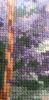 20210412_122051.thumb.jpg.49779231fac7c2f52337201e810905cb.jpg