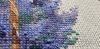 20210417_111507.thumb.jpg.5d27afd6db592377fea569513d5261fa.jpg