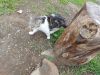 20210425_085357.thumb.jpg.f5da65f2b5278c41851860310576583e.jpg