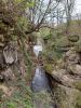 20210425_111947.thumb.jpg.a1edfaef553b8fd0acdac762c910f4d6.jpg