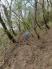 20210425_113025.thumb.jpg.927a765daa5df333bb122bf59bc58822.jpg