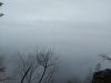 20210426_142750.thumb.jpg.16be02b61f45223348715dcb3a60b5e4.jpg