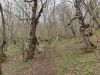20210427_111613.thumb.jpg.906a04c5b17a7245416577c01650614f.jpg