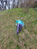 20210427_120145.thumb.jpg.a332c094fafbb1276e78774c4fde68b4.jpg