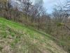 20210427_120312.thumb.jpg.0497069b7704a49ec1dce015d36ded4f.jpg